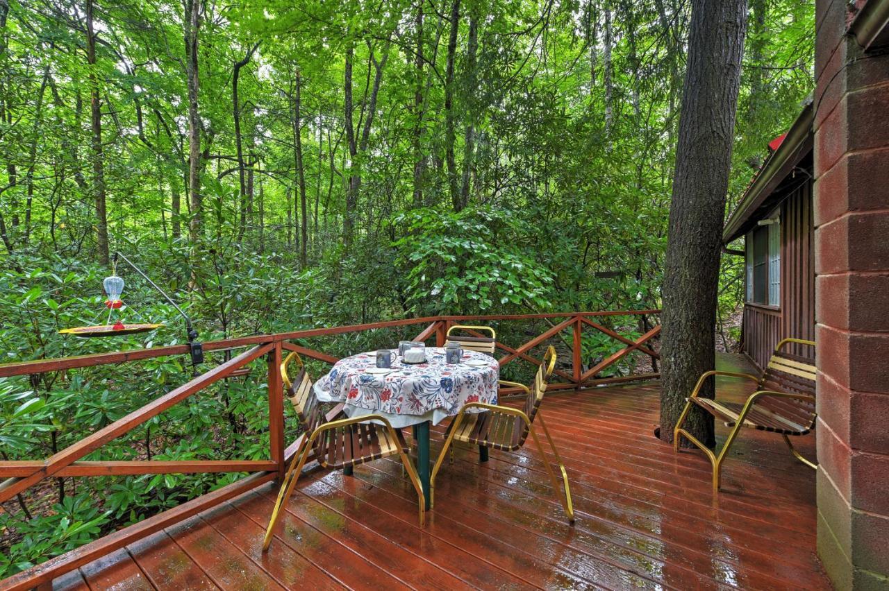Serene Creekside Cottage Near Asheville Fire Pit Candler Luaran gambar