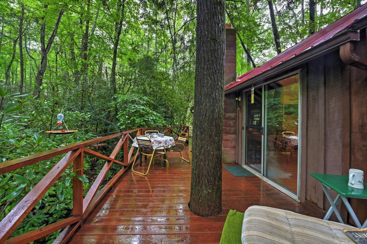 Serene Creekside Cottage Near Asheville Fire Pit Candler Luaran gambar